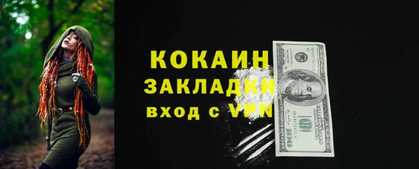 прущие грибы Няндома