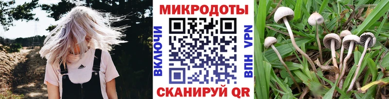 Галлюциногенные грибы GOLDEN TEACHER  сколько стоит  blacksprut   Туран 